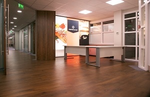 Sektor completes its largest office fit-out